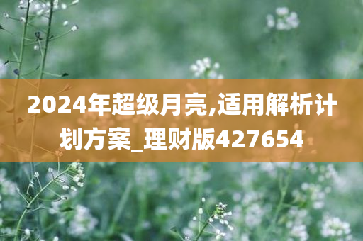 2024年超级月亮,适用解析计划方案_理财版427654