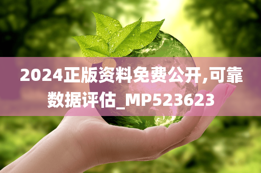 2024正版资料免费公开,可靠数据评估_MP523623