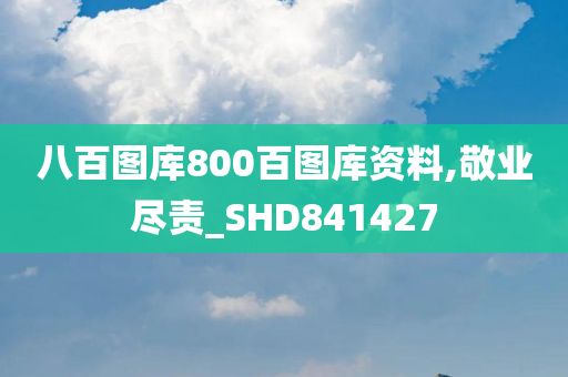 八百图库800百图库资料,敬业尽责_SHD841427