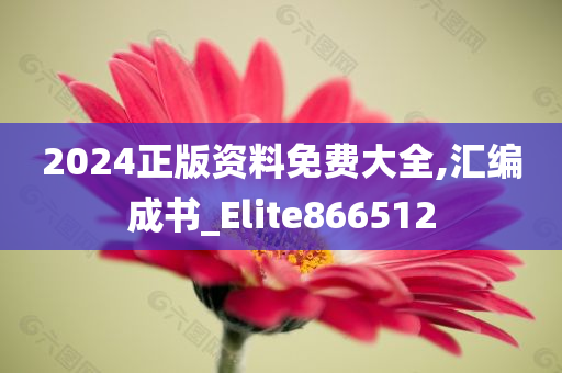 2024正版资料免费大全,汇编成书_Elite866512