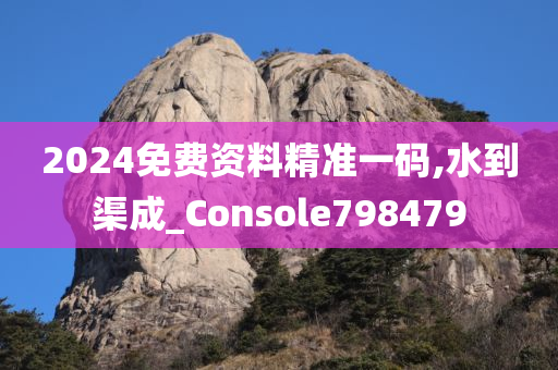 2024免费资料精准一码,水到渠成_Console798479