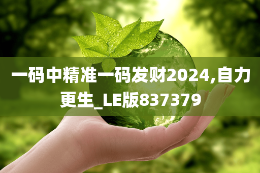 一码中精准一码发财2024,自力更生_LE版837379