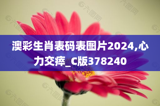 澳彩生肖表码表图片2024,心力交瘁_C版378240