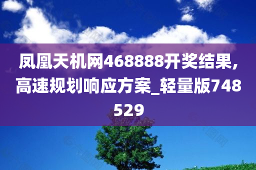 凤凰天机网468888开奖结果,高速规划响应方案_轻量版748529