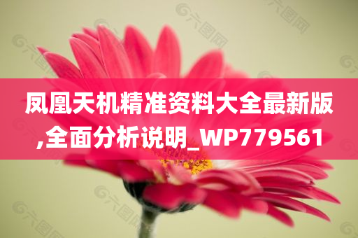 凤凰天机精准资料大全最新版,全面分析说明_WP779561