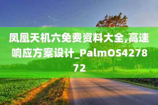 凤凰天机六免费资料大全,高速响应方案设计_PalmOS427872