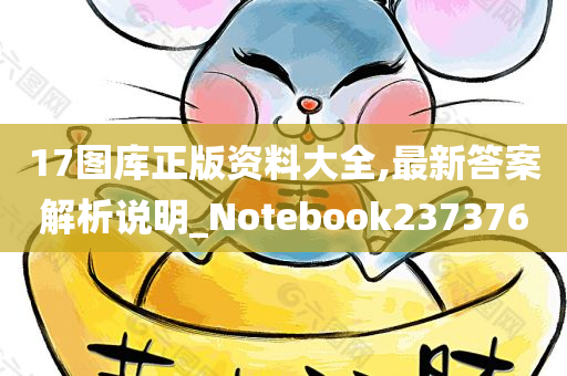 17图库正版资料大全,最新答案解析说明_Notebook237376