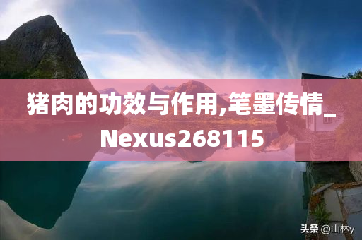 猪肉的功效与作用,笔墨传情_Nexus268115