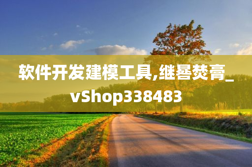 软件开发建模工具,继晷焚膏_vShop338483