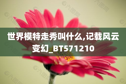 世界模特走秀叫什么,记载风云变幻_BT571210