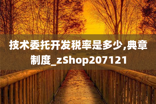 技术委托开发税率是多少,典章制度_zShop207121