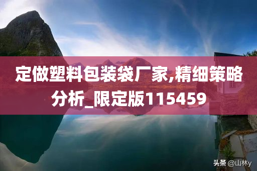 定做塑料包装袋厂家,精细策略分析_限定版115459