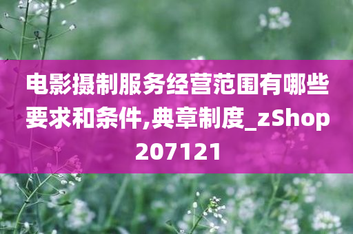 电影摄制服务经营范围有哪些要求和条件,典章制度_zShop207121