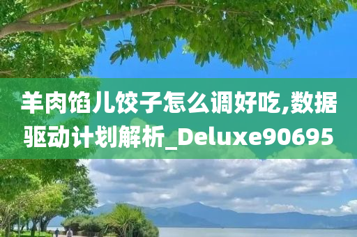 羊肉馅儿饺子怎么调好吃,数据驱动计划解析_Deluxe906950