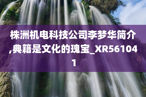 株洲机电科技公司李梦华简介,典籍是文化的瑰宝_XR561041