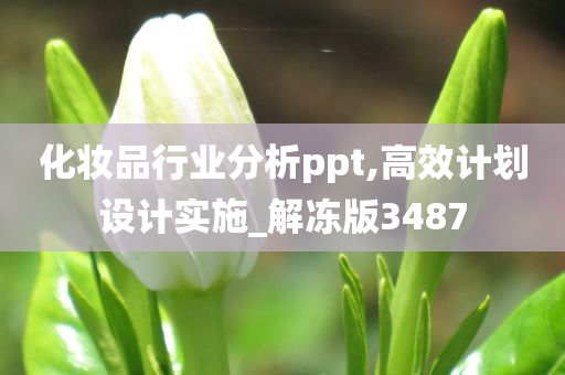 化妆品行业分析ppt,高效计划设计实施_解冻版3487