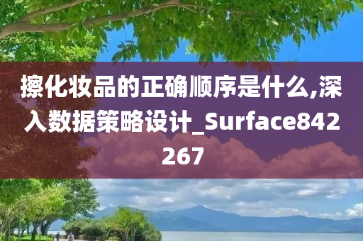 擦化妆品的正确顺序是什么,深入数据策略设计_Surface842267