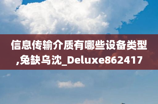 信息传输介质有哪些设备类型,兔缺乌沈_Deluxe862417