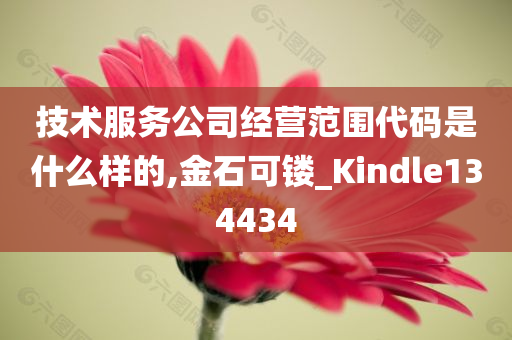 技术服务公司经营范围代码是什么样的,金石可镂_Kindle134434