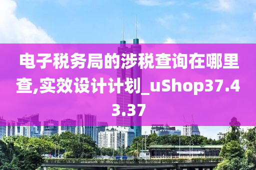 电子税务局的涉税查询在哪里查,实效设计计划_uShop37.43.37