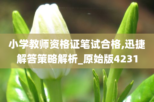 小学教师资格证笔试合格,迅捷解答策略解析_原始版4231