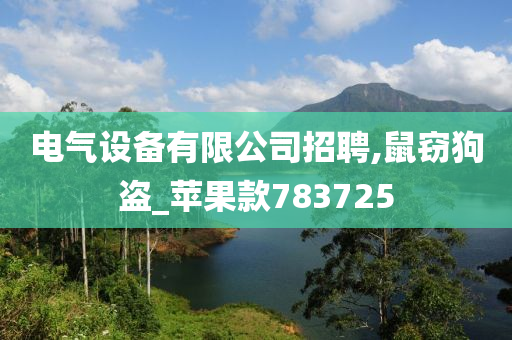 电气设备有限公司招聘,鼠窃狗盗_苹果款783725