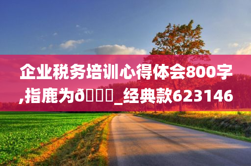 企业税务培训心得体会800字,指鹿为🐎_经典款623146