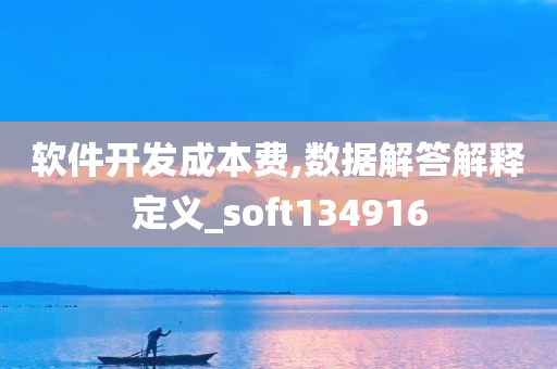 软件开发成本费,数据解答解释定义_soft134916