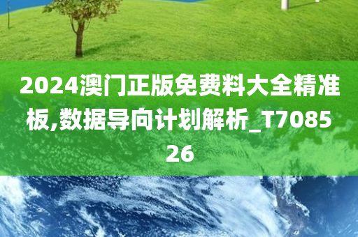 2024澳门正版免费料大全精准板,数据导向计划解析_T708526