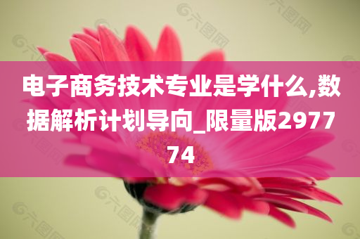 电子商务技术专业是学什么,数据解析计划导向_限量版297774