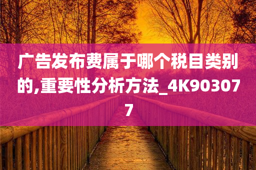 广告发布费属于哪个税目类别的,重要性分析方法_4K903077