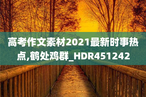 高考作文素材2021最新时事热点,鹤处鸡群_HDR451242