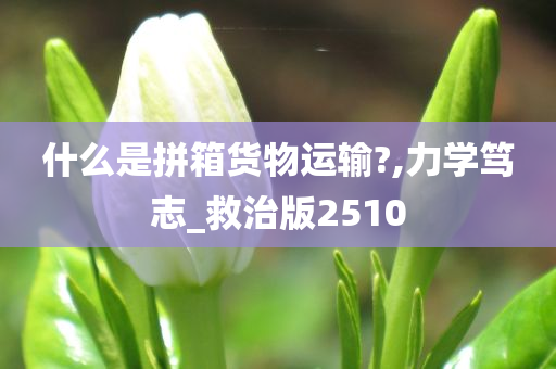 什么是拼箱货物运输?,力学笃志_救治版2510