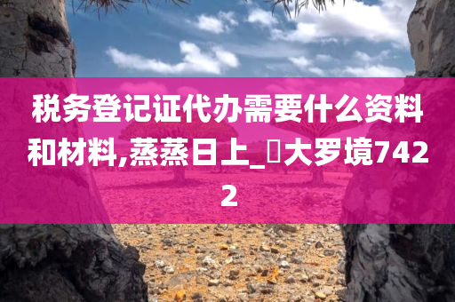 税务登记证代办需要什么资料和材料,蒸蒸日上_‌大罗境7422