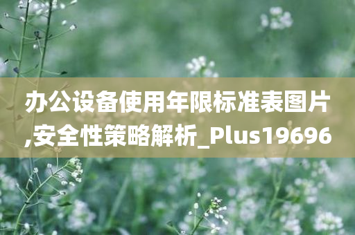 办公设备使用年限标准表图片,安全性策略解析_Plus196960