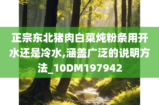 正宗东北猪肉白菜炖粉条用开水还是冷水,涵盖广泛的说明方法_10DM197942