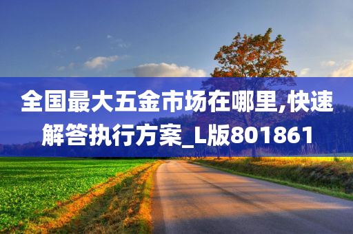 全国最大五金市场在哪里,快速解答执行方案_L版801861