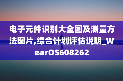 电子元件识别大全图及测量方法图片,综合计划评估说明_WearOS608262