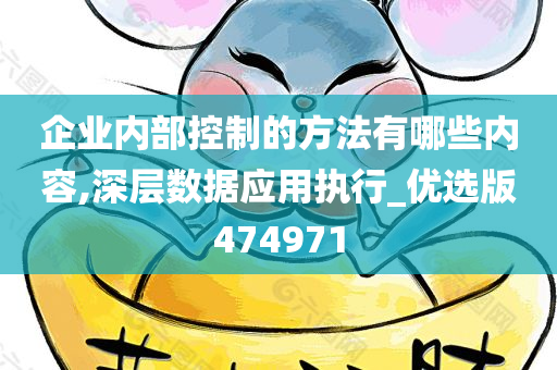 企业内部控制的方法有哪些内容,深层数据应用执行_优选版474971