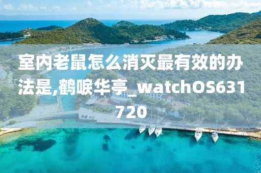 室内老鼠怎么消灭最有效的办法是,鹤唳华亭_watchOS631720