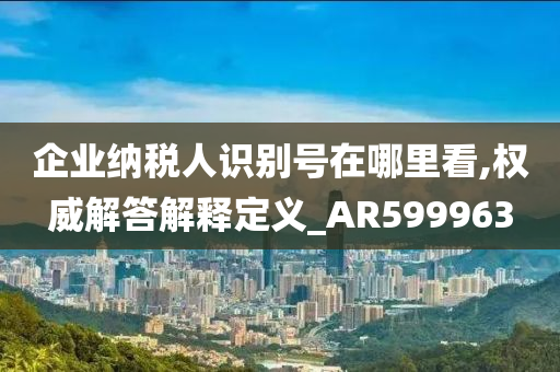 企业纳税人识别号在哪里看,权威解答解释定义_AR599963