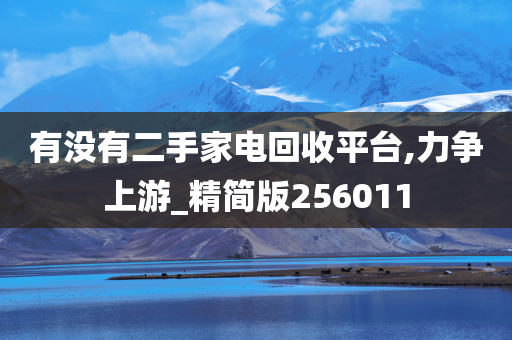 有没有二手家电回收平台,力争上游_精简版256011