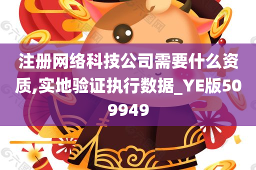 注册网络科技公司需要什么资质,实地验证执行数据_YE版509949