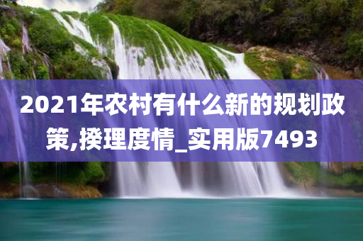 2021年农村有什么新的规划政策,揆理度情_实用版7493