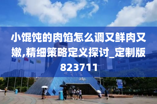 小馄饨的肉馅怎么调又鲜肉又嫩,精细策略定义探讨_定制版823711