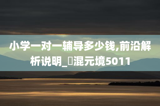 小学一对一辅导多少钱,前沿解析说明_‌混元境5011