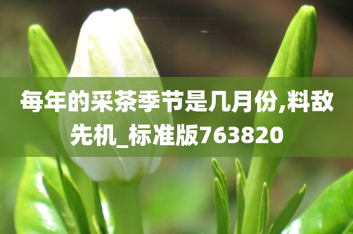 每年的采茶季节是几月份,料敌先机_标准版763820