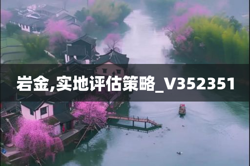 岩金,实地评估策略_V352351