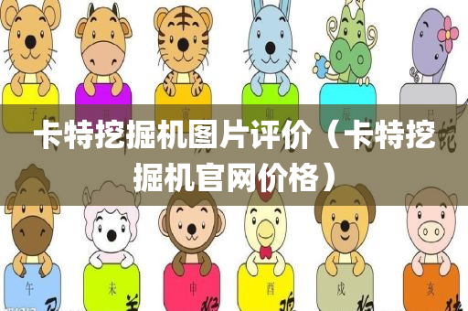 卡特挖掘机图片评价（卡特挖掘机官网价格）