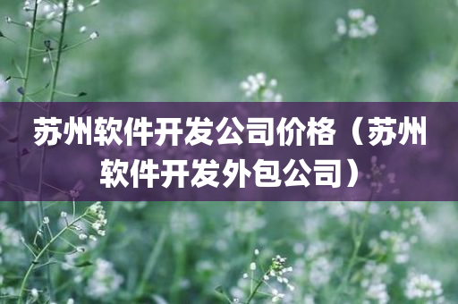 苏州软件开发公司价格（苏州软件开发外包公司）